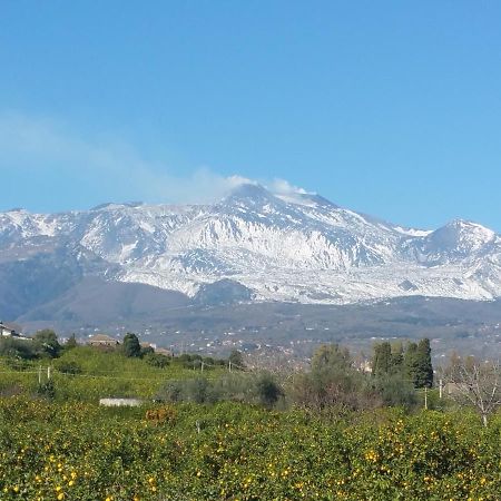 Tulipano 7 Διαμέρισμα Mascali Εξωτερικό φωτογραφία
