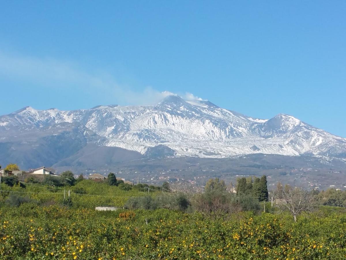 Tulipano 7 Διαμέρισμα Mascali Εξωτερικό φωτογραφία